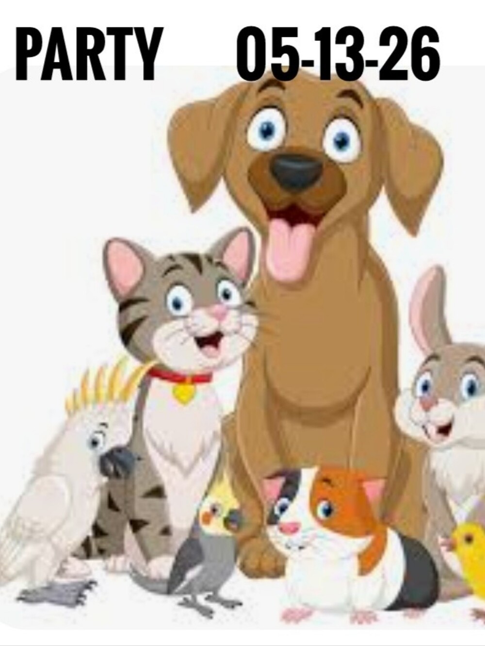 PaRtY‼️Everything Pets 👇Details👇 - Picture 1 of 1